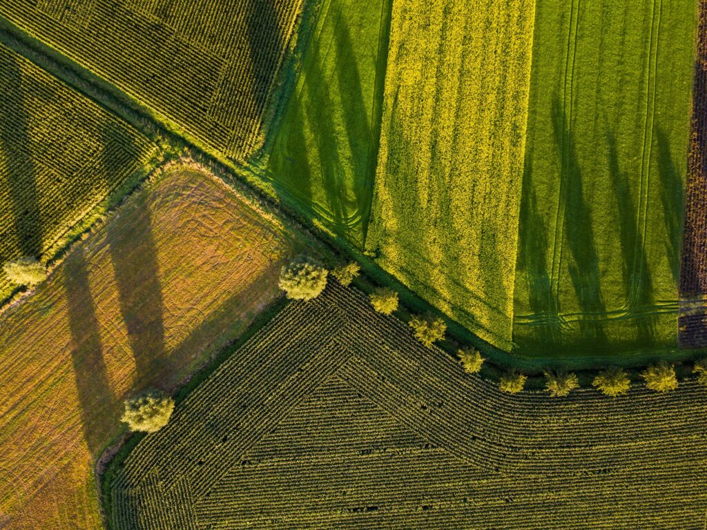 Laukai iš paukščio skrydžio